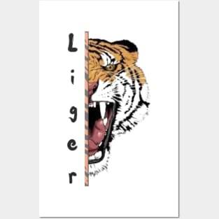 Liger the tiger Posters and Art